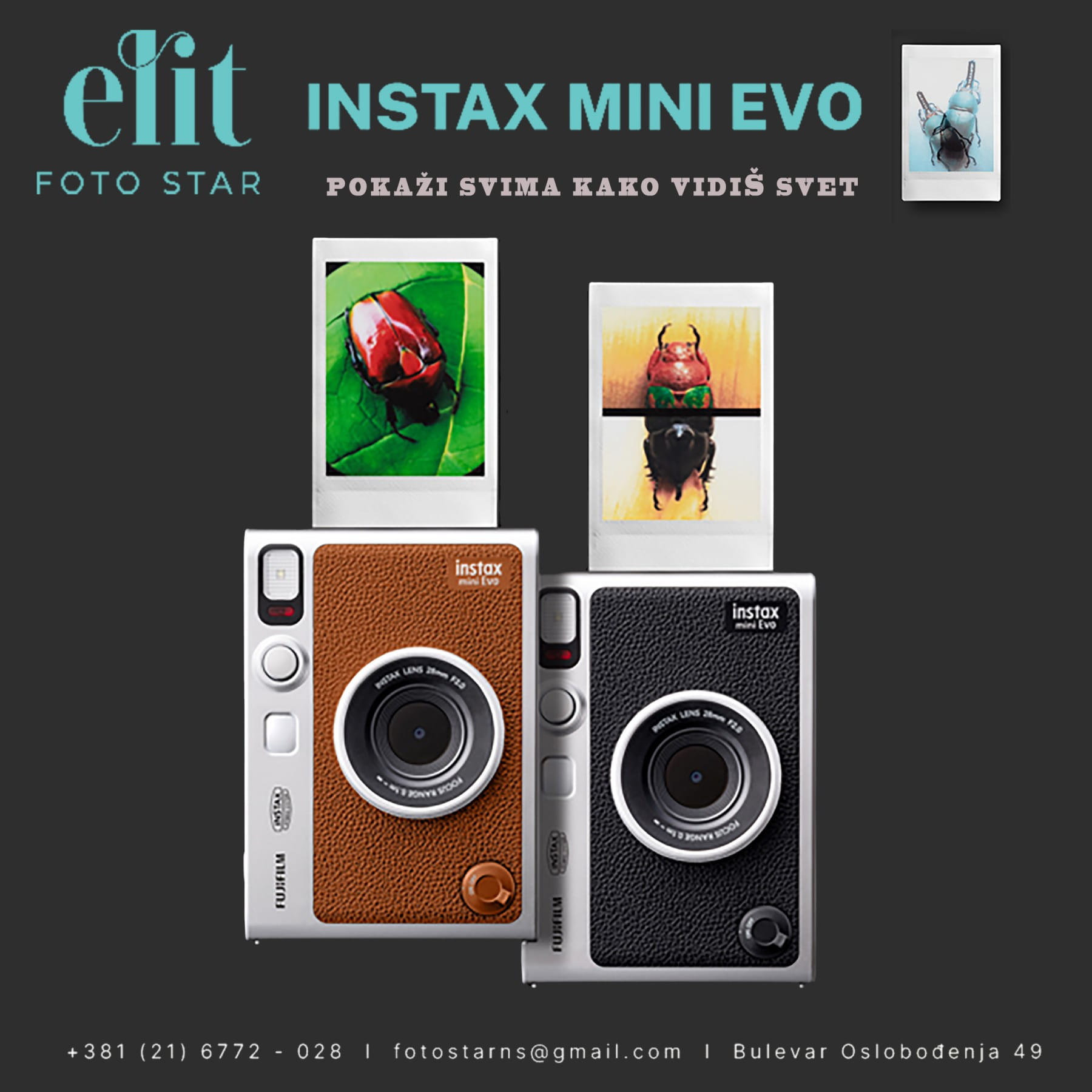 Foto Star Elit – galerija 43